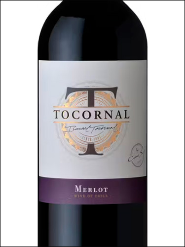 фото Cono Sur Tocornal Merlot Коно Сур Токорнал Мерло Чили вино красное
