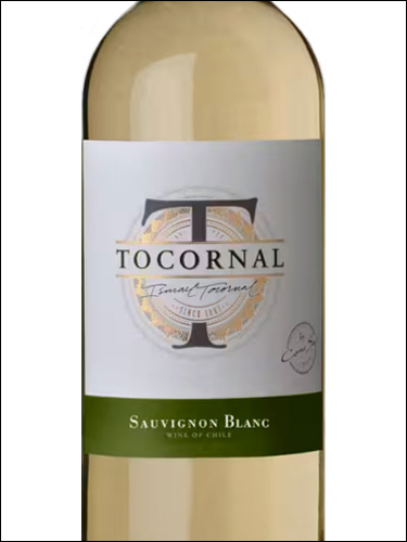 фото Cono Sur Tocornal Sauvignon Blanc Коно Сур Токорнал Совиньон Блан Чили вино белое