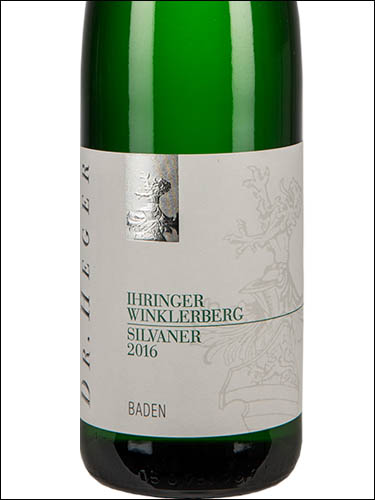 фото Dr.Heger Silvaner Ihringer Winklerberg troken Доктор Хегер Сильванер Ирингер Винклерберг трокен Германия вино белое