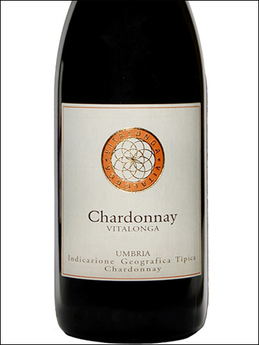 фото Vitalonga Umbria Chardonnay IGT Виталонга Умбрия Шардоне Италия вино белое