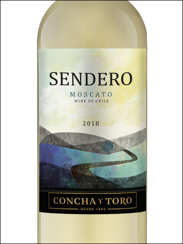 фото Concha y Toro Sendero Moscato Конча и Торо Сендеро Москато Чили вино белое