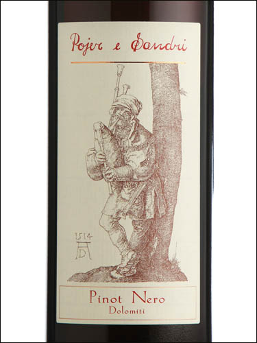 фото Pojer & Sandri Pinot Nero Dolomiti IGT Пойер и Сандри Пино Неро Доломити ИГТ Италия вино красное