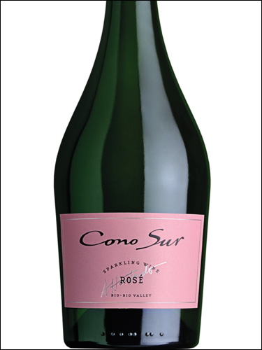 фото Cono Sur Sparkling Brut Rose Bio Bio Valley DO Коно Сур Спарклинг Брют Розе Долина Био Био Чили вино розовое