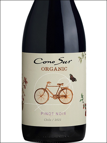 фото Cono Sur Organic Pinot Noir Коно Сур Органик Пино Нуар Чили вино красное