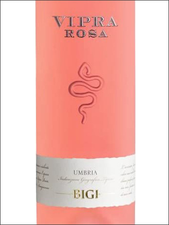 фото Bigi Vipra Rosa Umbria IGT Биджи Випра Роза Умбрия Италия вино розовое