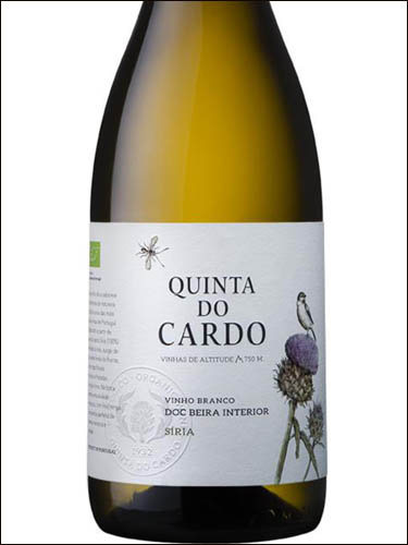 фото Quinta do Cardo Siria Beira Interior DOC Кинта ду Карду Сирия Бейра Интериор Португалия вино белое