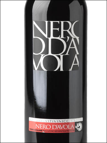 фото Tola Nero d'Avola Terre Siciliane IGT Тола Неро д'Авола Терре Сицилиане ИГТ Италия вино красное