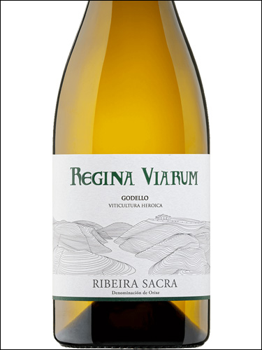 фото вино Regina Viarum Godello Ribeira Sacra DO 
