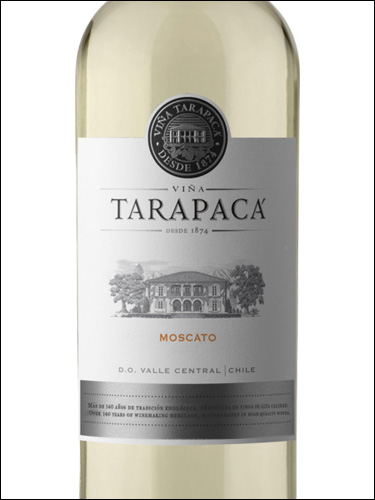 фото Vina Tarapaca Moscato Винья Тарапака Москато Чили вино белое