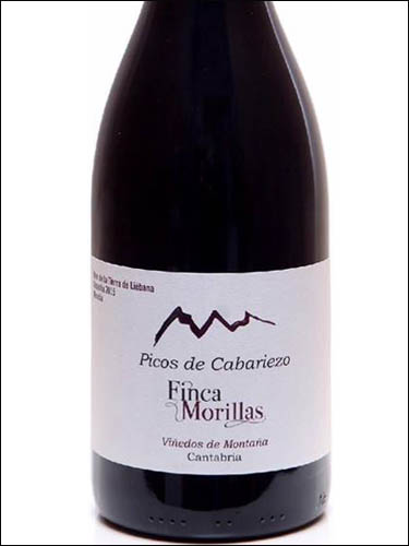 фото вино Picos de Cabariezo Finca Morillas 