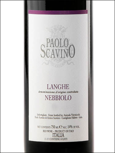 фото Paolo Scavino Nebbiolo Langhe DOC Паоло Скавино Неббиоло Ланге ДОК Италия вино красное