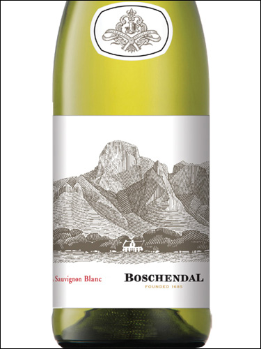 фото Boschendal Sommelier Selection Sauvignon Blanc Бошендаль Сомелье Селекшн Совиньон Блан ЮАР вино белое