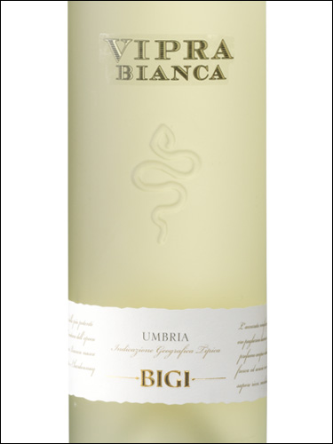 фото Bigi Vipra Bianca Umbria IGT Биджи Випра Бьянка Умбрия Италия вино белое