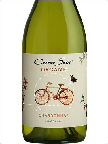 фото Cono Sur Organic Chardonnay Коно Сур Органик Шардоне Чили вино белое