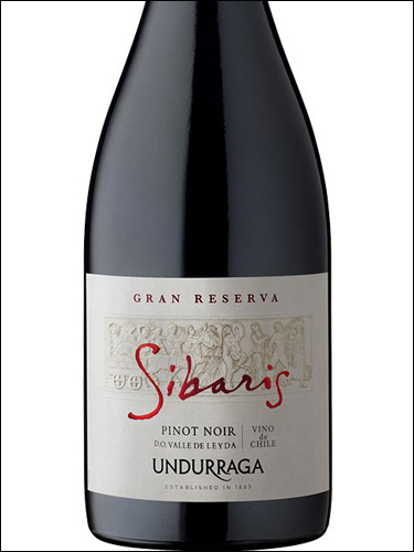 фото Undurraga Sibaris Gran Reserva Pinot Noir Ундуррага Сибарис Гран Резерва Пино Нуар Чили вино красное