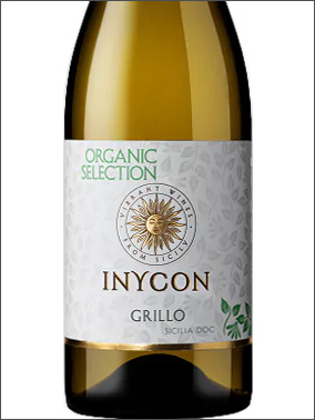 фото Inycon Organic Selection Grillo Sicilia DOC Иникон Органик Селекшн Грилло Сицилия Италия вино белое