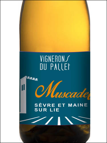 фото Vignerons du Pallet Muscadet Sevre et Maine sur Lie AOC Винерон дю Паллет Мюскаде Севр э Мен сюр Ли Франция вино белое