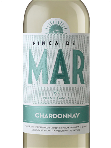 фото вино Vicente Gandia Finca del Mar Chardonnay Valencia DO 