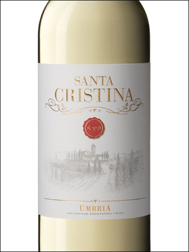 фото Santa Cristina Umbria Bianco IGT Санта-Кристина Умбрия Бьянко Италия вино белое