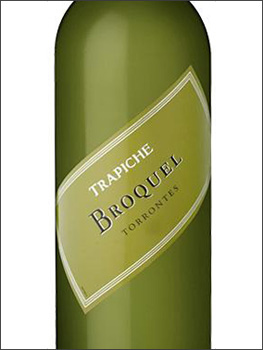 фото Trapiche Broquel Torrontes Трапиче Брокель Торронтес Аргентина вино белое