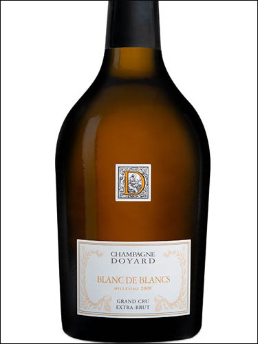 фото Champagne Doyard Blanc de Blancs Grand Cru Millesimee Extra Brut Шампань Дуайар Блан де Блан Гран Крю Миллезим Экстра Брют Франция вино белое