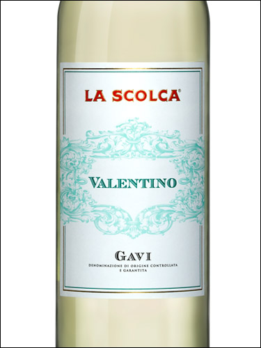 фото La Scolca Il Valentino Gavi DOCG Ла Сколька Иль Валентино Гави  Италия вино белое
