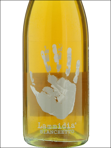 фото Lammidia Bianchetto Ламмидия Бьянкетто Италия вино белое