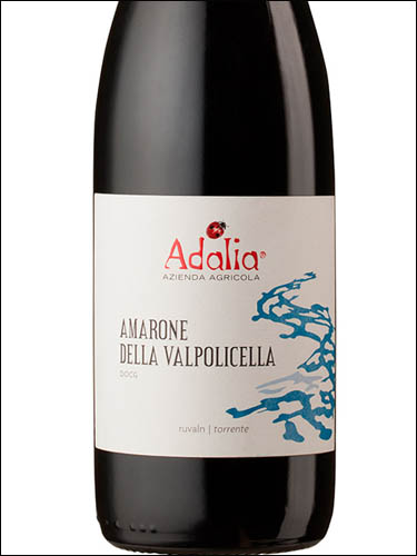 фото Adalia Ruvaln Amarone della Valpolicella DOCG Адалия Рувальн Амароне делла Вальполичелла Италия вино красное