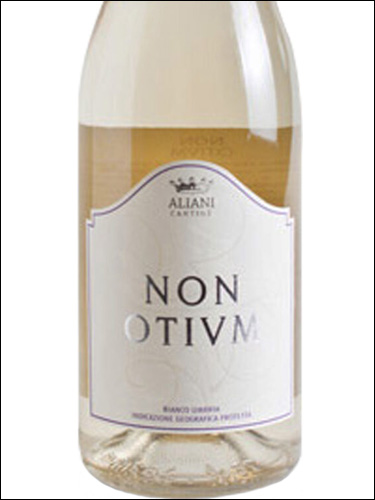 фото Aliani Non Otium Umbria Bianco IGP Алиани Нон Отиум Умбрия Бьянко Италия вино белое