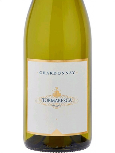 фото Tormaresca Chardonnay Puglia IGT Тормареска Шардоне Пулия Италия вино белое