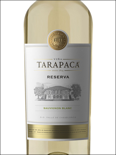 фото Vina Tarapaca Reserva Sauvignon Blanc Винья Тарапака Резерва Совиньон Блан Чили вино белое