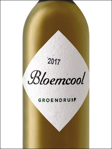 фото Bloemcool Groendruif Блумкол Грундрёйф ЮАР вино белое