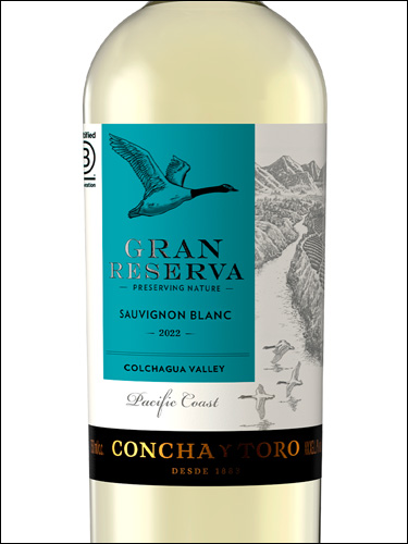 фото Concha y Toro Gran Reserva Sauvignon Blanc Конча и Торо Гран Резерва Совиньон Блан Чили вино белое
