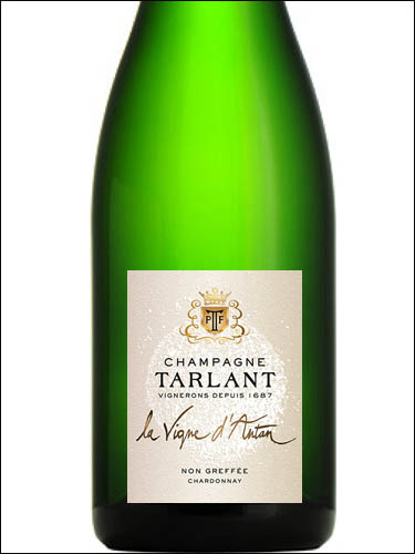 фото Champagne Tarlant La Vigne d'Antan Brut Nature Шампанское Тарлан Ла Винь д'Антан Брют Натюр Франция вино белое