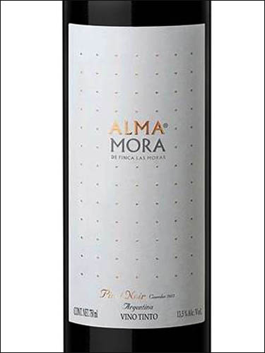 фото Finca Las Moras Alma Mora Pinot Noir San Juan Финка Лас Морас Альма Мора Пино Нуар Сан Хуан Аргентина вино красное