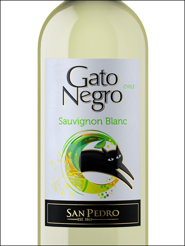 фото San Pedro Gato Negro Sauvignon Blanc Central Valley DO Сан Педро Гато Негро Совиньон Блан Чили вино белое