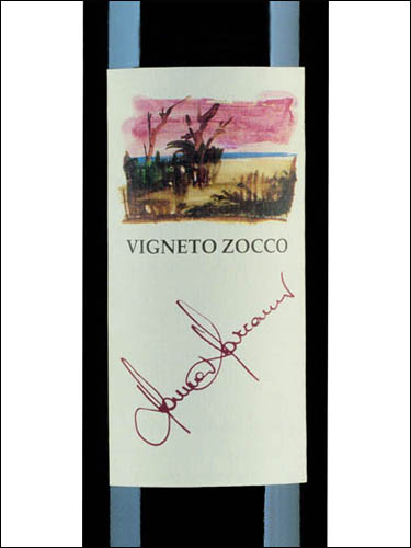 фото Punset Vigneto Zocco Barbera d’Alba DOC Пунсет Виньето Зокко Барбера д'Альба Италия вино красное