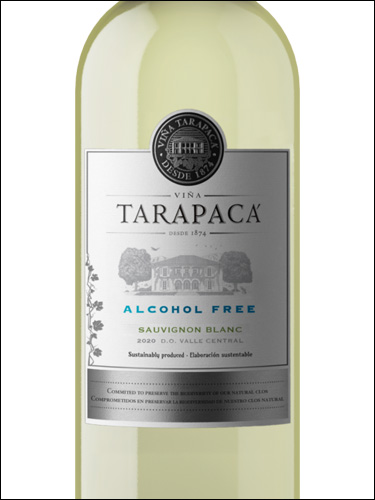 фото Vina Tarapaca Alcohol Free Sauvignon Blanc Винья Тарапака Безалкогольное Совиньон Блан Чили вино белое