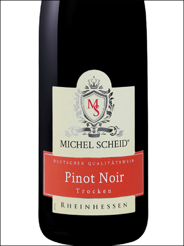 фото Michel Scheid Pinot Noir Trocken Rheinhessen Михель Шайд Пино Нуар Трокен Рейнхессен Германия вино красное