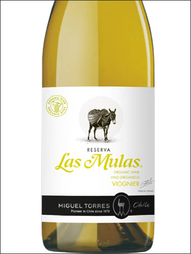 фото Miguel Torres Las Mulas Reserva Viognier Valle Central DO Мигель Торрес Лас Мулас Ресерва Вионье Центральная Долина Чили вино белое