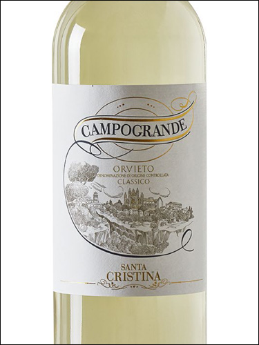 фото Santa Cristina Campogrande Orvieto Classico DOC Санта Кристина Кампогранде Орвието Классико Италия вино белое