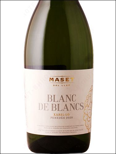 фото вино Maset del Lleo Blanc de Blancs Xarel-lo Penedes DO 