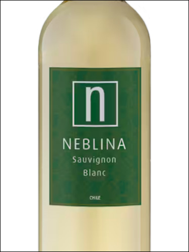 фото Neblina Sauvignon Blanc Неблина Совиньон Блан Чили вино белое