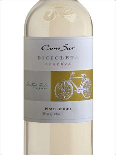 фото Cono Sur Bicicleta Pinot Grigio Коно Сур Бисиклета Пино Гриджио Чили вино белое