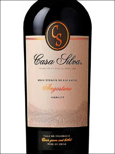 фото Casa Silva Gran Terroir de los Andes Merlot Каса Сильва Гран Терруар де Лос Андес Мерло Чили вино красное