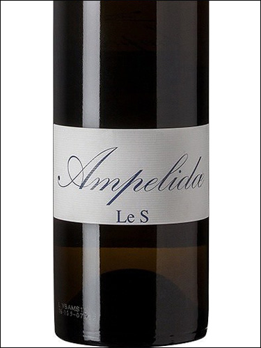 фото Ampelidae Le S Val de Loire IGP Ампелиде Ле Эс Валь де Луар Франция вино белое
