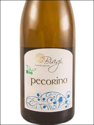 фото Biagi Pecorino Bio Colli Aprutini IGT Бьяджи Пекорино Био Колли Апрутини Италия вино белое