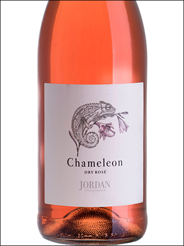 фото Jordan Chameleon Rose Джордан Хамелеон Розе ЮАР вино розовое