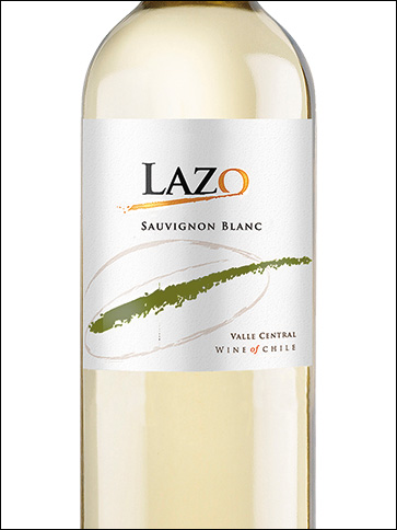 фото Lazo Sauvignon Blanc Лазо Совиньон Блан Чили вино белое