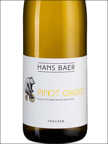 фото Hans Baer Pinot Grigio trocken Rheinhessen Ханс Баер Пино Гриджио трокен Рейнхессен Германия вино белое